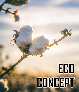 Eco-concept